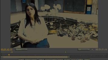 misceláneas de peliculas 