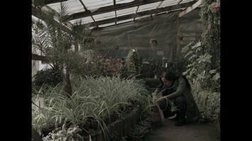 misceláneas de peliculas 